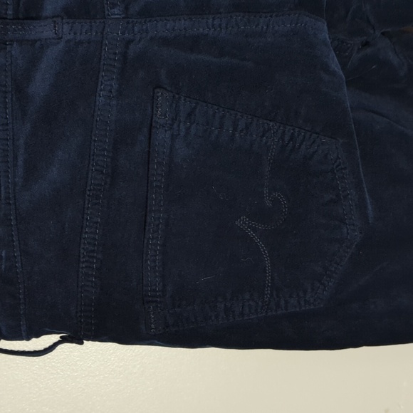 AG Adriano Goldschmied Anthropologie Stevie Ankle Pant - Picture 9 of 14